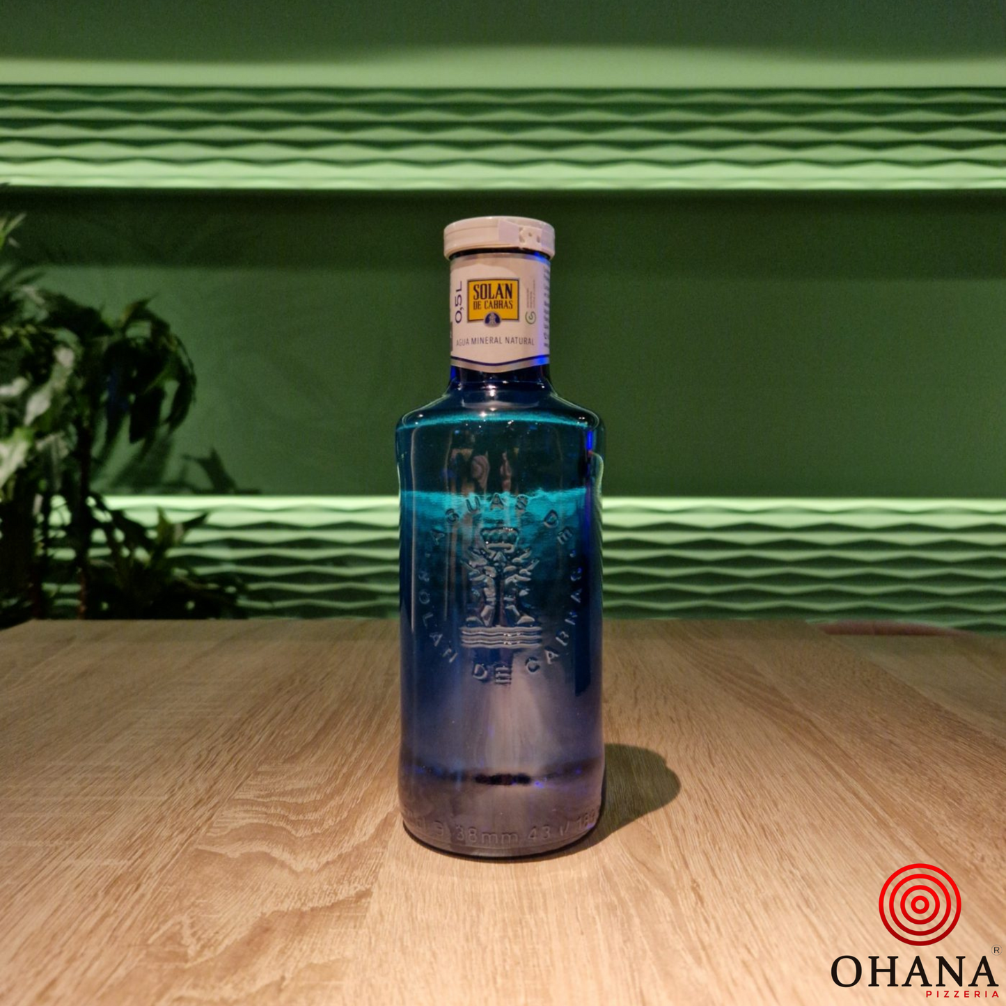 Agua Solan de Cabras 500ml